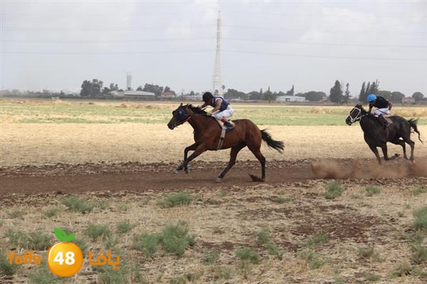 khoyoul lud 0610 (5).JPG